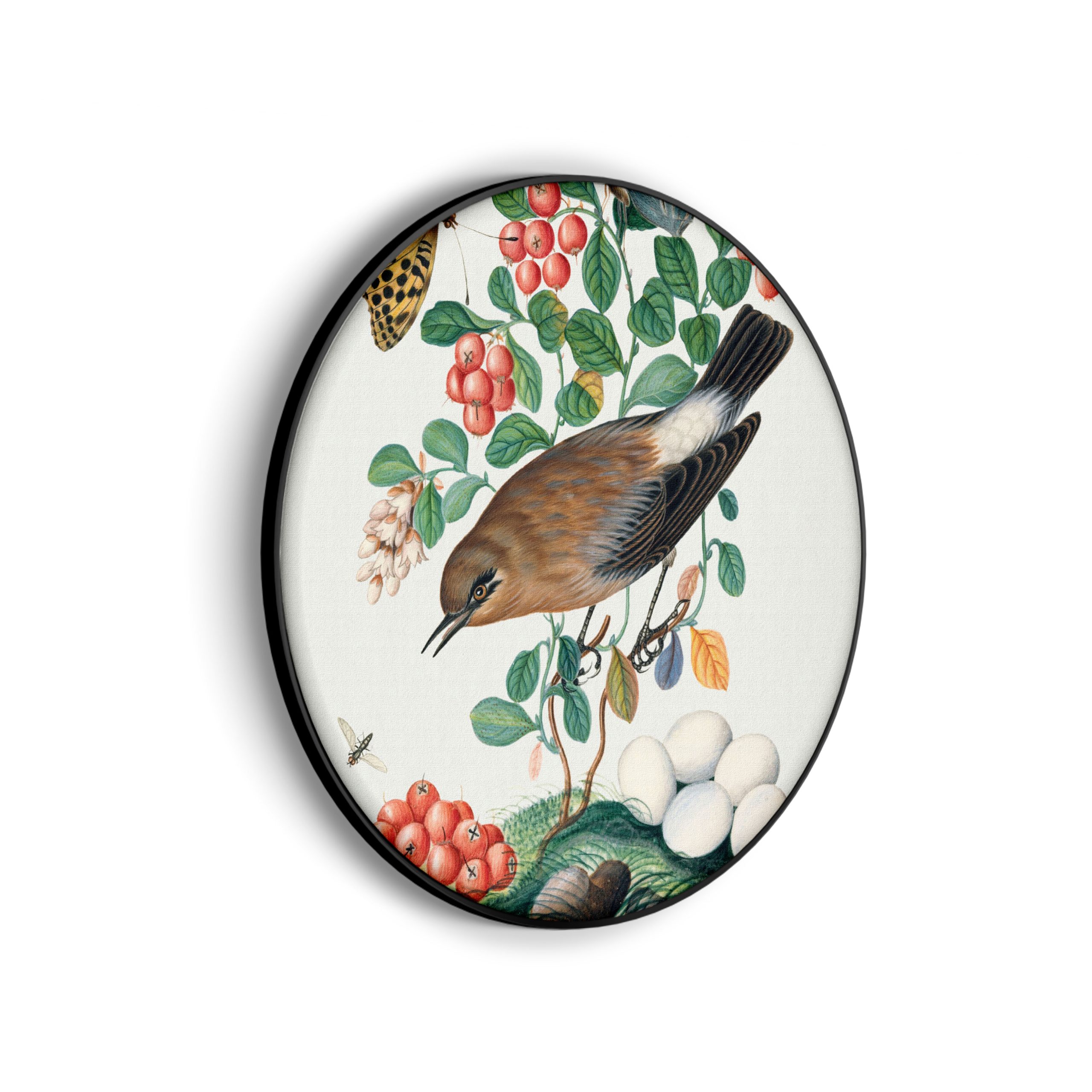 Template_Vierkant_Rond_vintage_5-scaled Akoestisch Schilderij Prent Natuur Vogel en Bloemen 01 Rond - Muurcirkel Template Vierkant Rond vintage 5 scaled 1