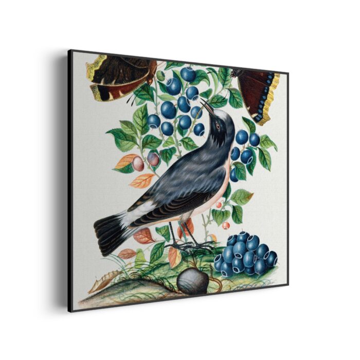 Akoestisch Schilderij Prent Natuur Vogel en Bloemen 01 Vierkant Template Vierkant Rond vintage 6 1 3 scaled 1