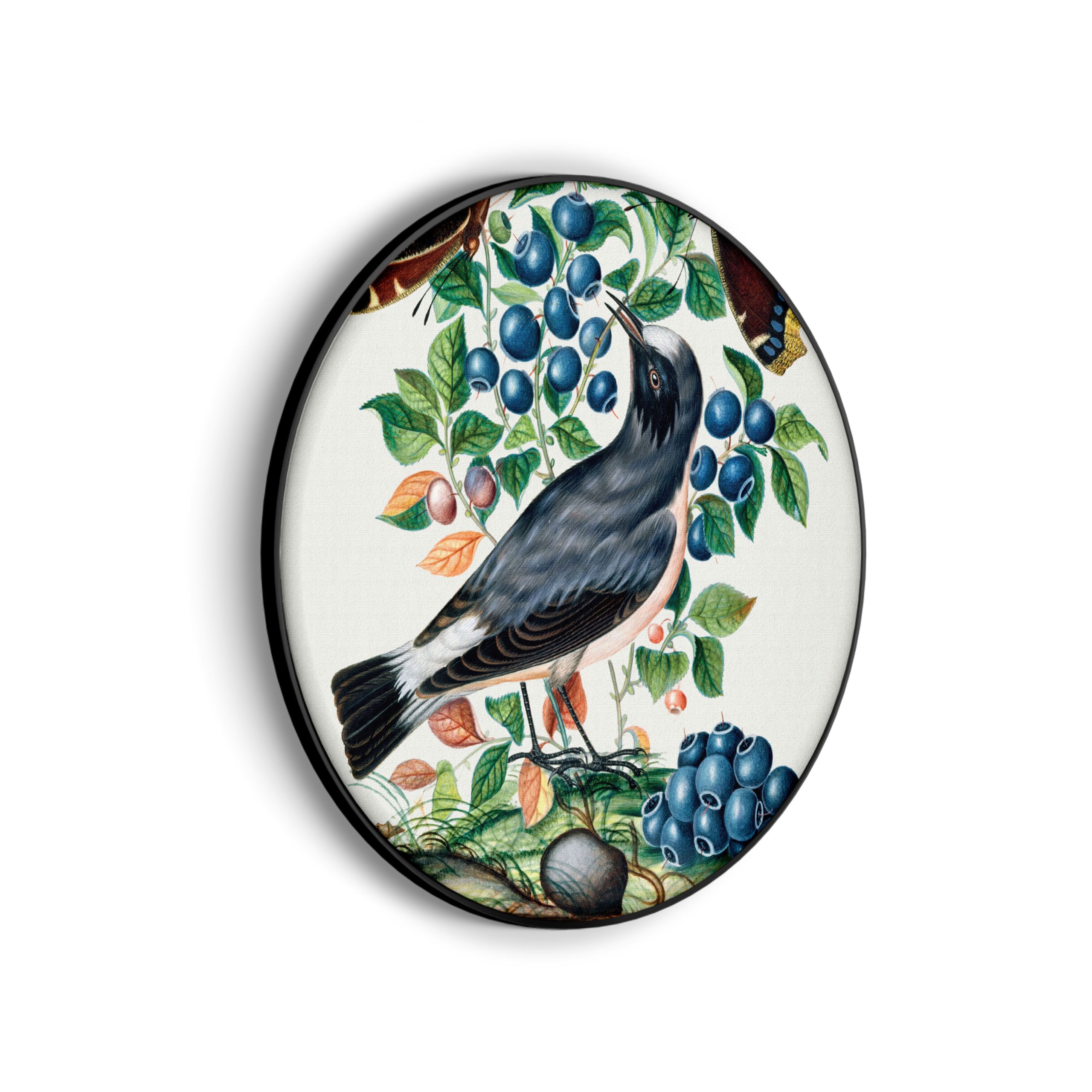 Template_Vierkant_Rond_vintage_6-scaled Akoestisch Schilderij Prent Natuur Vogel en Bloemen 06 Rond - Muurcirkel Template Vierkant Rond vintage 6 scaled 1