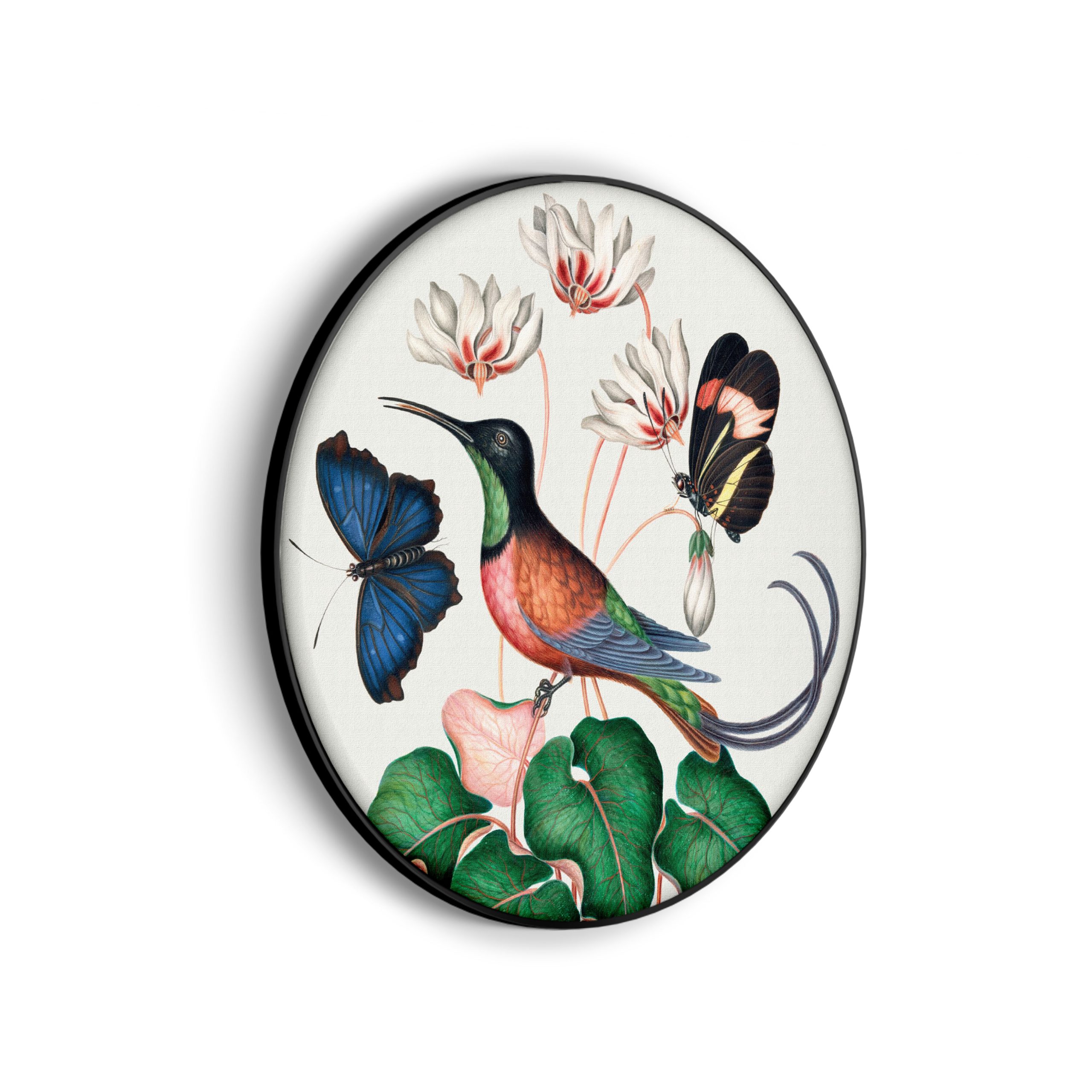 Template_Vierkant_Rond_vintage_7-scaled Akoestisch Schilderij Prent Natuur Vogel en Bloemen 01 Rond - Muurcirkel Template Vierkant Rond vintage 7 scaled 1
