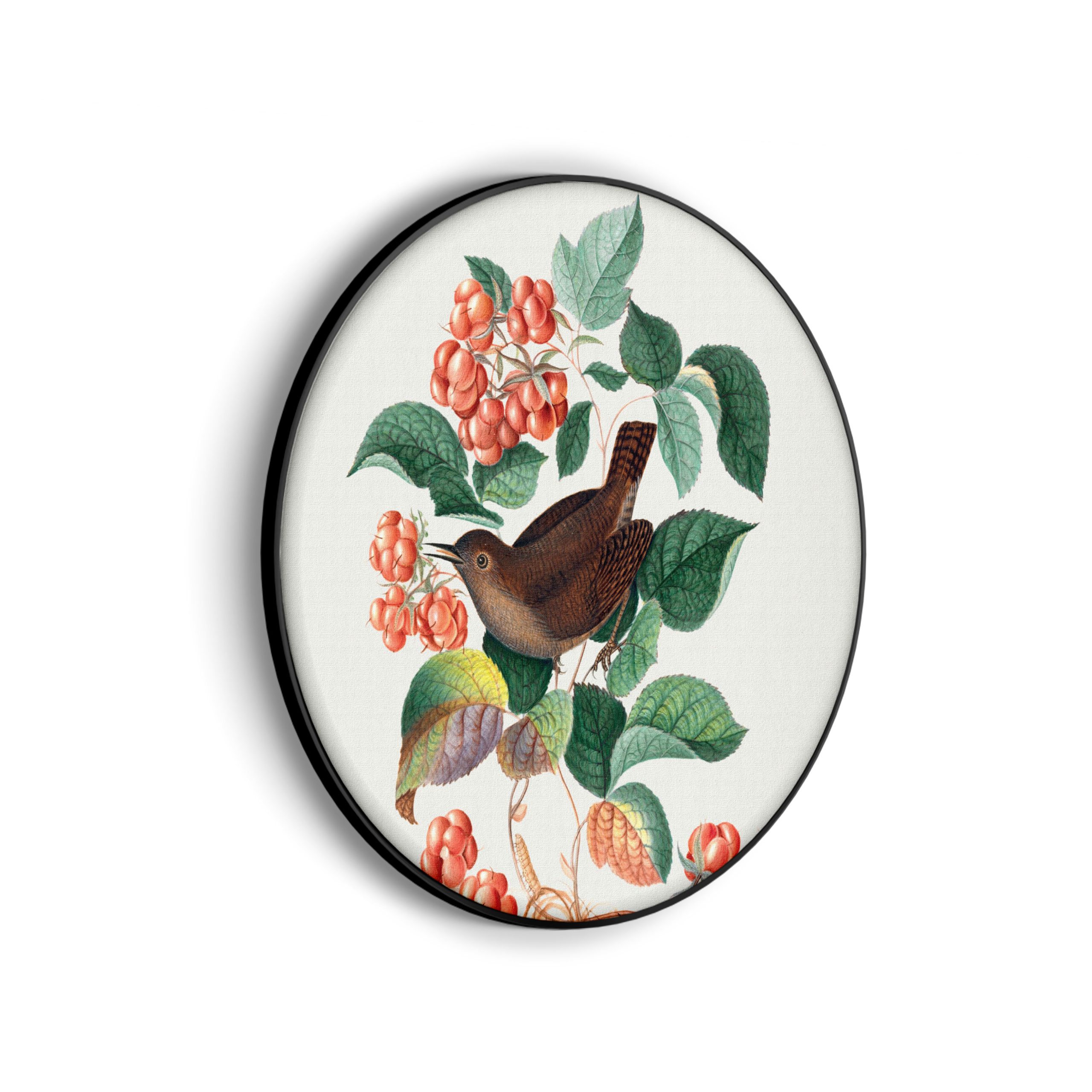 Template_Vierkant_Rond_vintage_8-scaled Akoestisch Schilderij Prent Natuur Vogel en Bloemen 01 Rond - Muurcirkel Template Vierkant Rond vintage 8 scaled 1