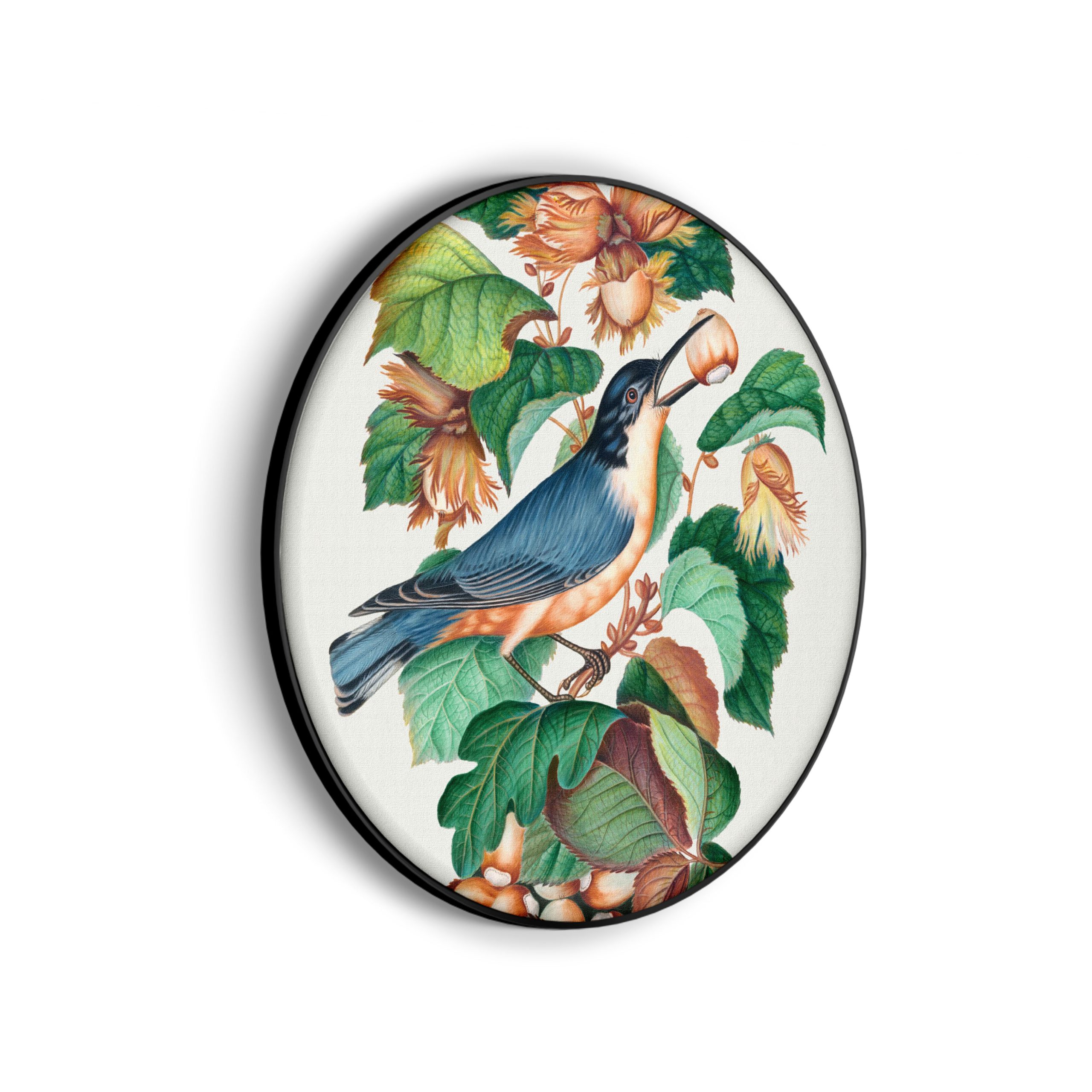 Template_Vierkant_Rond_vintage_9-scaled Akoestisch Schilderij Prent Natuur Vogel en Bloemen 01 Rond - Muurcirkel Template Vierkant Rond vintage 9 scaled 1