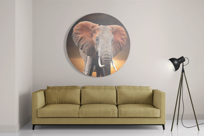 Schilderij Olifant met Zonsondergang Rond – Muurcirkel Template TP Vierkant Rond Dieren 53 2 1 1