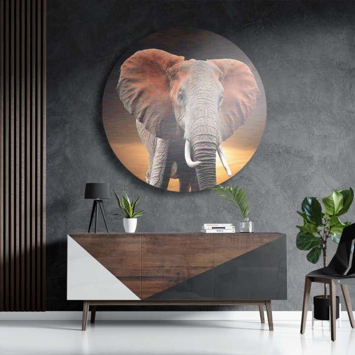 Schilderij Olifant met Zonsondergang Rond – Muurcirkel Template TP Vierkant Rond Dieren 53 3 1 1