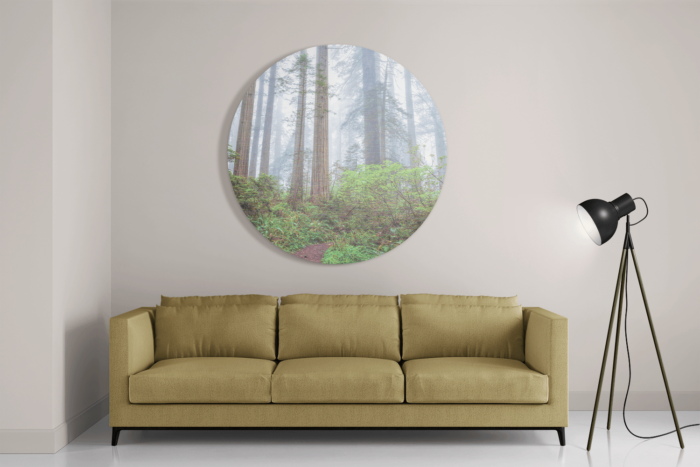 Schilderij Sequoia bos Rond – Muurcirkel Template TP Vierkant Rond Natuur 88 2 1 1