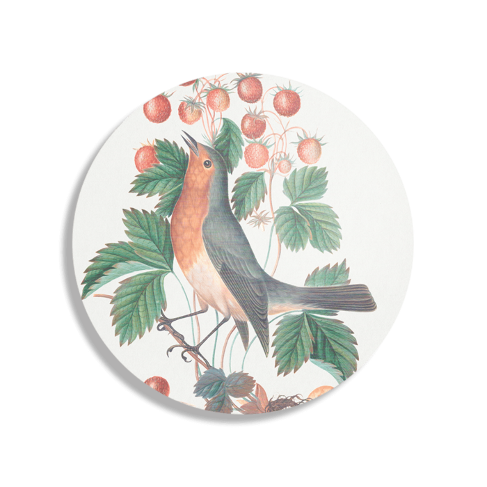 Schilderij Prent Natuur Vogel en Bloemen 11 Rond – Muurcirkel Template TP Vierkant Rond Vintage 11 1 1 1