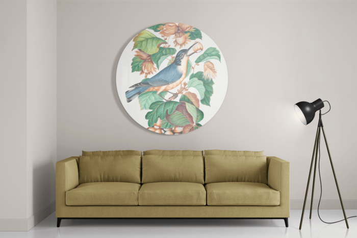 Schilderij Prent Natuur Vogel en Bloemen 09 Rond – Muurcirkel Template TP Vierkant Rond Vintage 9 2 1 1