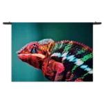 Wandkleed Kameleon Kleurrijk Rechthoek Horizontaal Template 50 70 WK Horizontaal Dieren 10 1