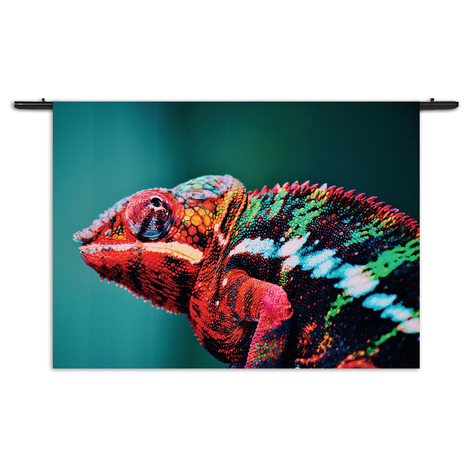 Wandkleed Kameleon Kleurrijk Rechthoek Horizontaal Template 50 70 WK Horizontaal Dieren 10 1