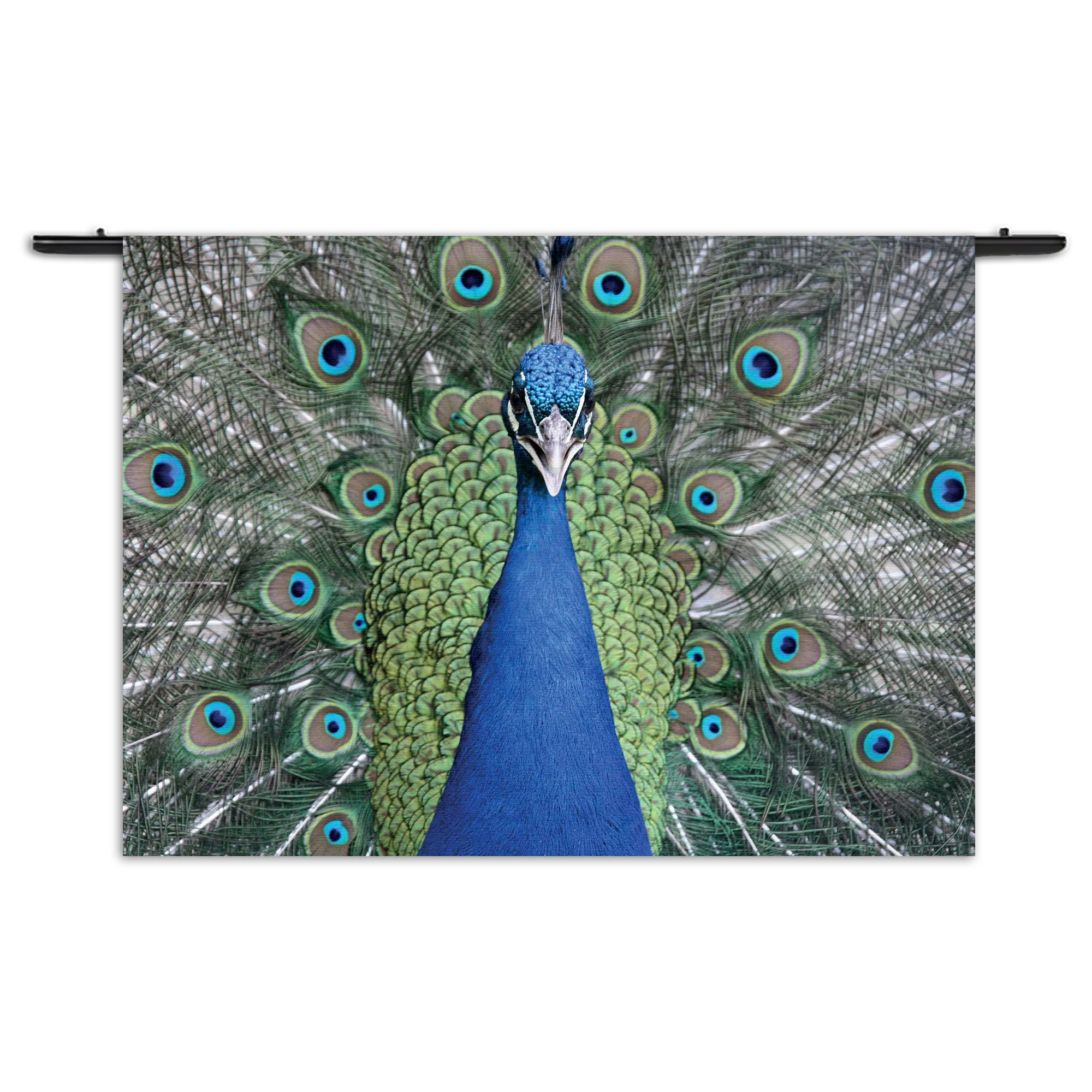 Wandkleed Blauwe Pauw Met Groene Verem Rechthoek Horizontaal Template 50 70 WK Horizontaal Dieren 20 1