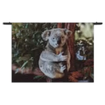 Wandkleed De Vastgelamde Koala Rechthoek Horizontaal Template 50 70 WK Horizontaal Dieren 23 1