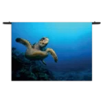 Wandkleed Zeeschildpad In Helderblauw Water 02 Rechthoek Horizontaal Template 50 70 WK Horizontaal Dieren 26 1