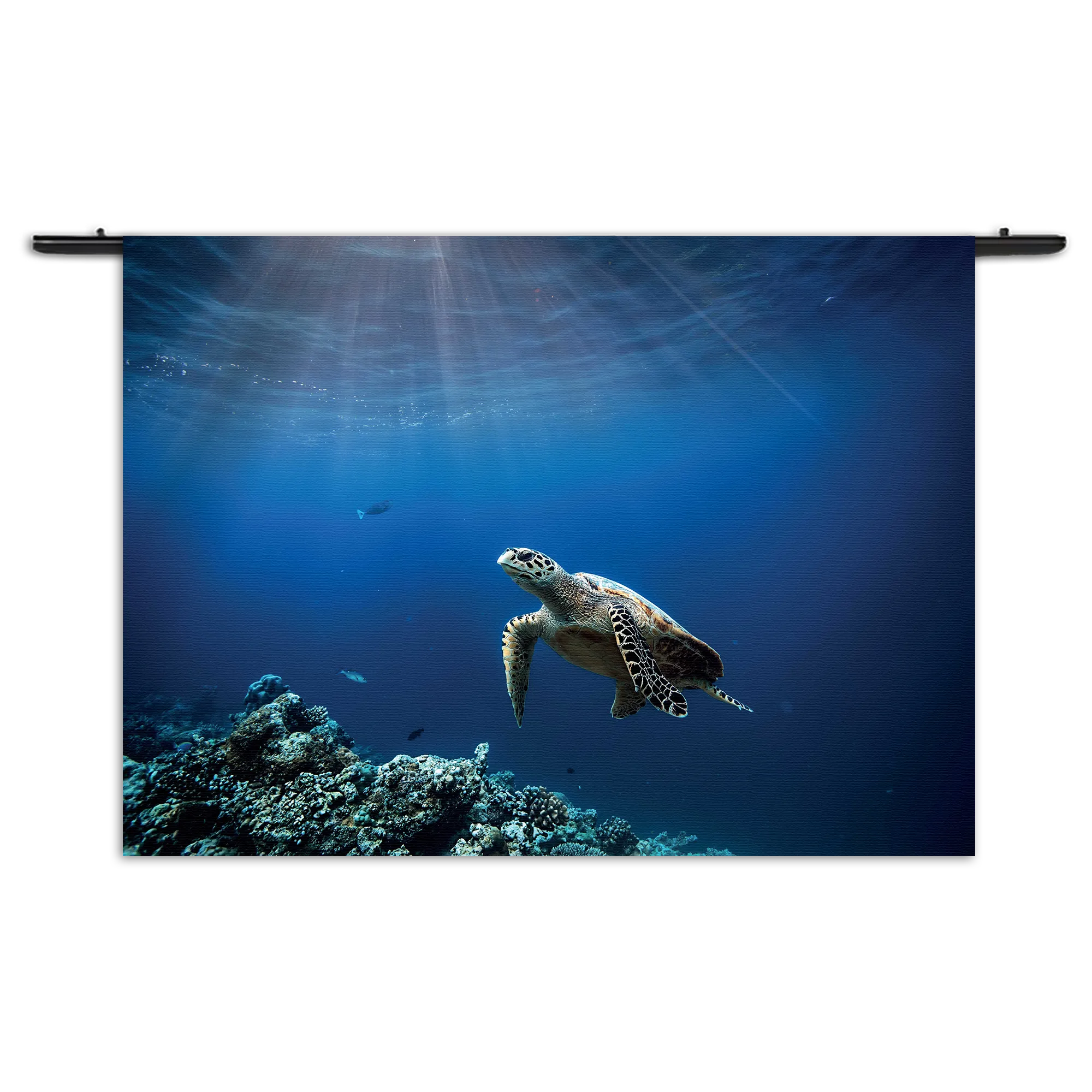 Wandkleed Zeeschildpad In Helderblauw Water 03 Rechthoek Horizontaal Template 50 70 WK Horizontaal Dieren 30 1