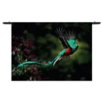 Wandkleed Schitterende Vliegende Quetzal Vogel Rechthoek Horizontaal Template 50 70 WK Horizontaal Dieren 34 1