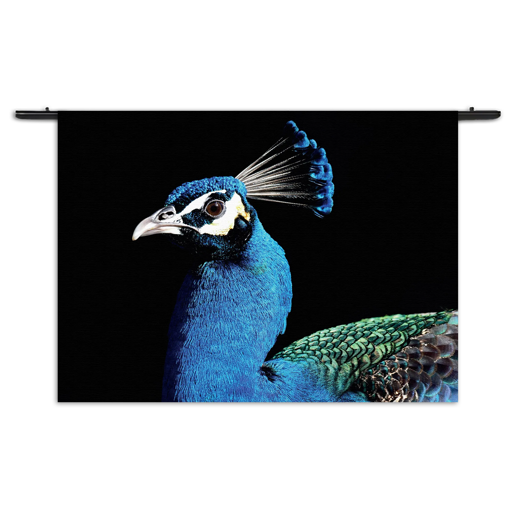 Wandkleed De Pauw Rechthoek Horizontaal Template 50 70 WK Horizontaal Dieren 48 1