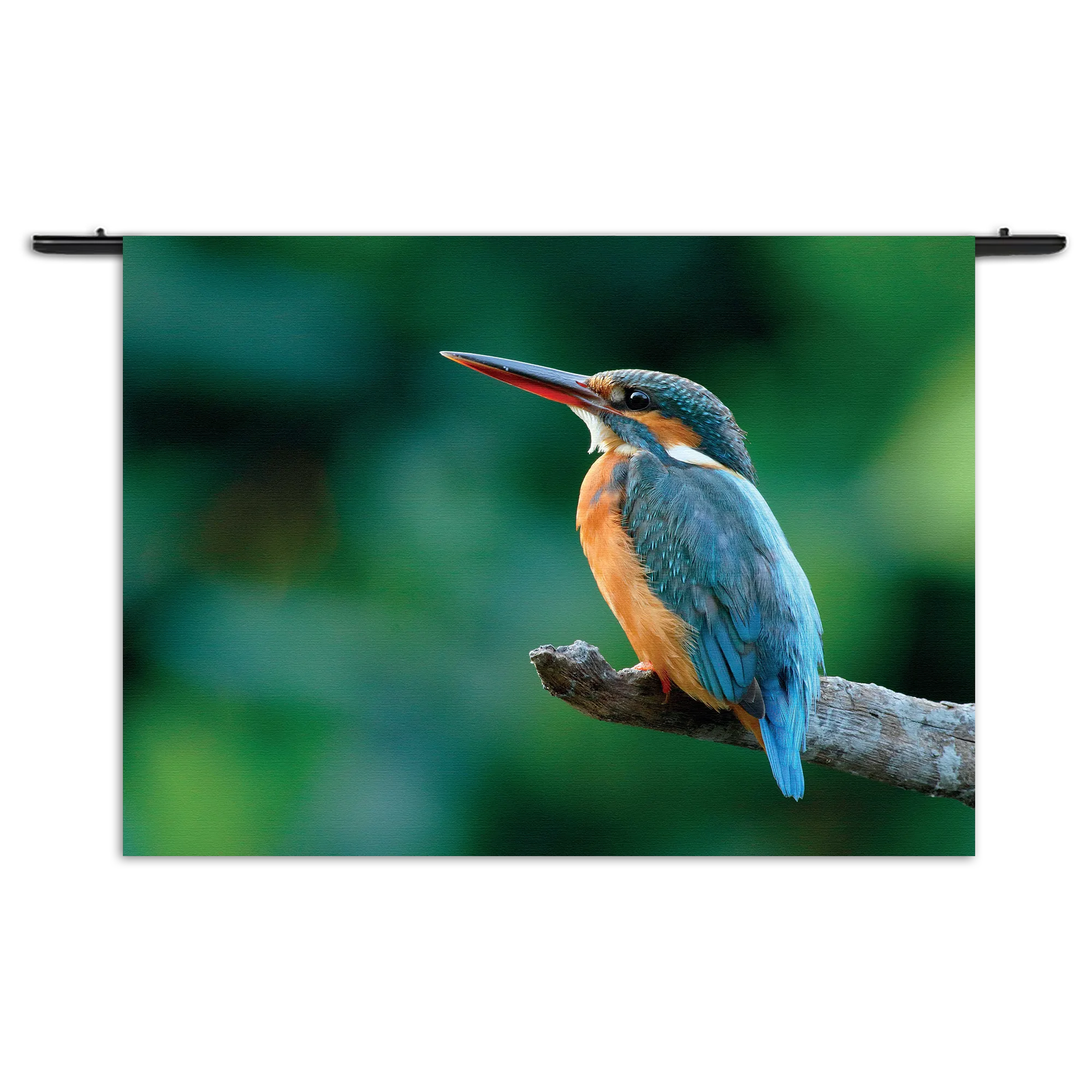 Wandkleed De Ijsvogel Rechthoek Horizontaal Template 50 70 WK Horizontaal Dieren 51 1