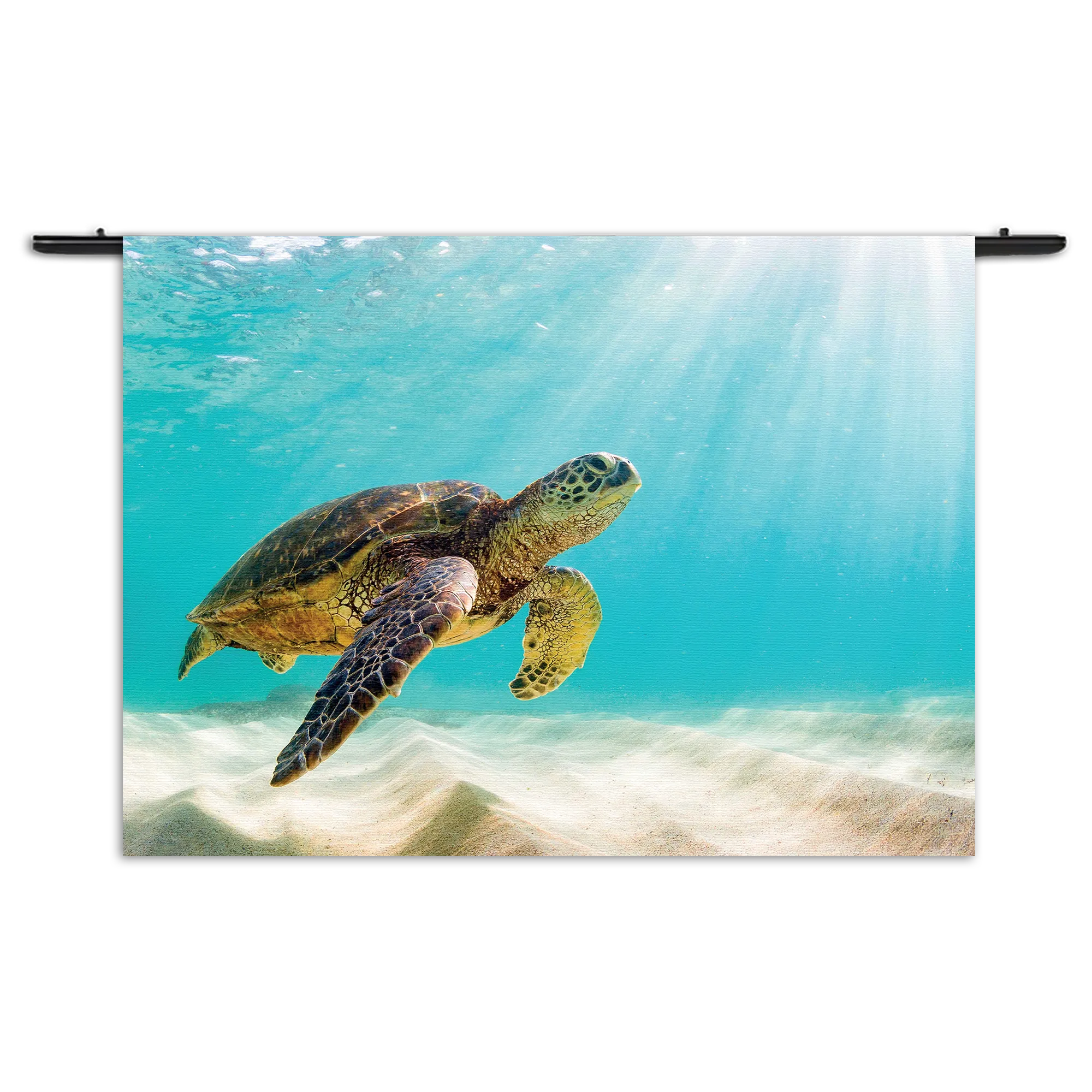 Wandkleed Zeeschildpad In Helderblauw Water 04 Rechthoek Horizontaal Template 50 70 WK Horizontaal Dieren 58 1