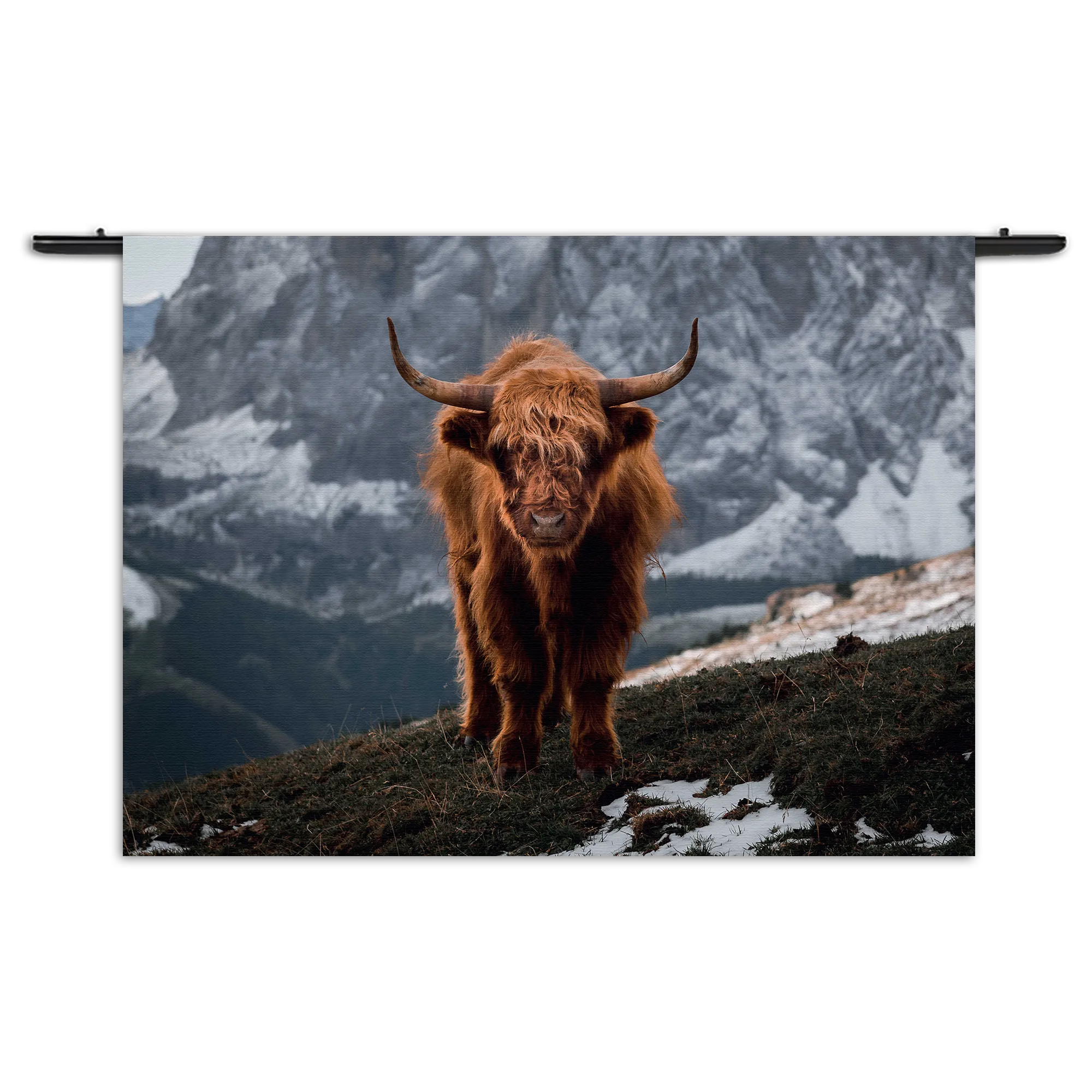 Wandkleed Bizon Van Het Gebergten Rechthoek Horizontaal Template 50 70 WK Horizontaal Dieren 71 1