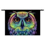 Wandkleed Colored Owl 01 Rechthoek Horizontaal Template 50 70 WK Horizontaal Dieren 82 1