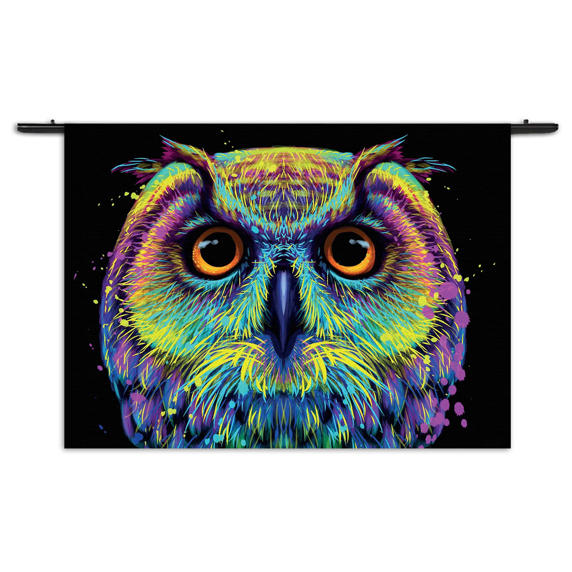 Wandkleed Colored Owl 01 Rechthoek Horizontaal Template 50 70 WK Horizontaal Dieren 82 1