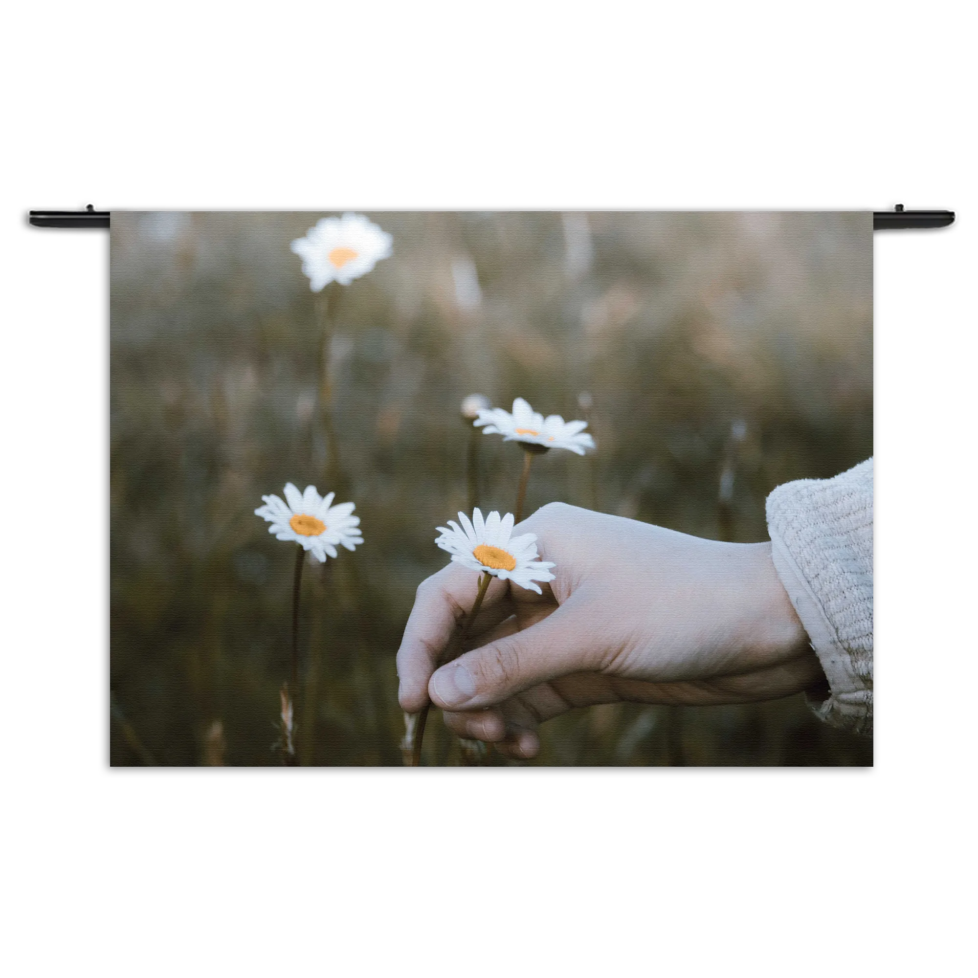 Wandkleed Pluk Het Madeliefje Rechthoek Horizontaal Template 50 70 WK Horizontaal Romantisch 7 1