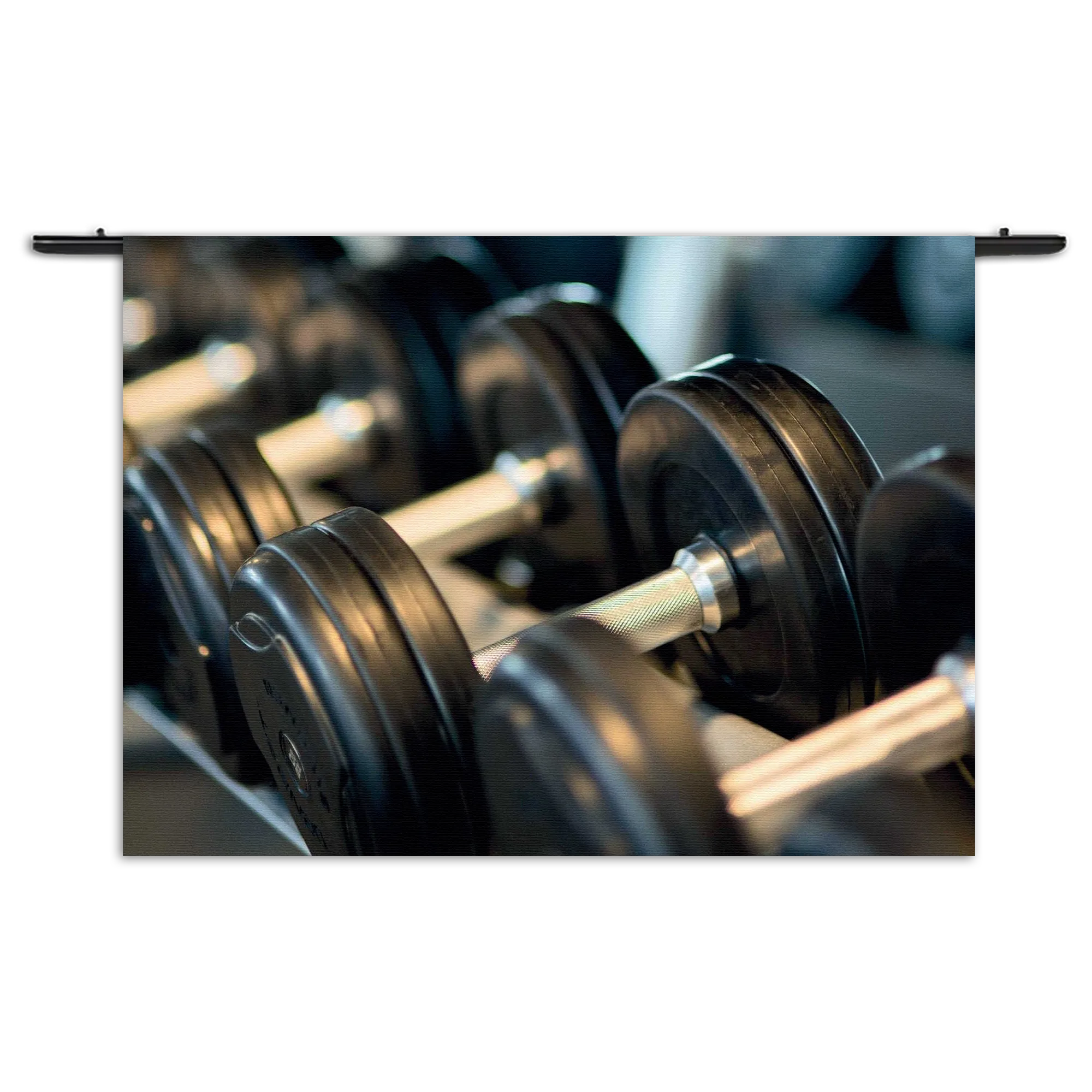 Wandkleed Halters In De Sportschool Rechthoek Horizontaal Template 50 70 WK Horizontaal Sport 5 1