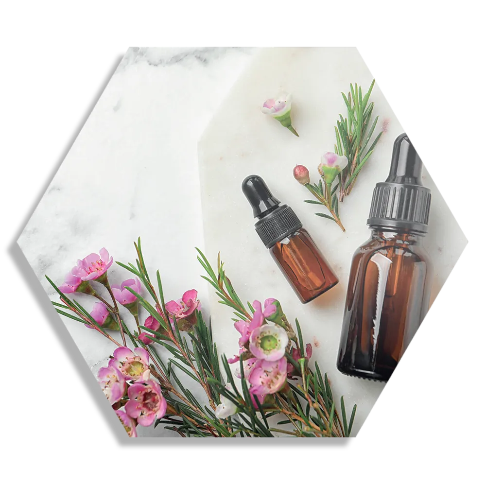 Schilderij Beautysalon Rozetinten Marmer Hexagon Template Hexagon1 Beauty 13 1