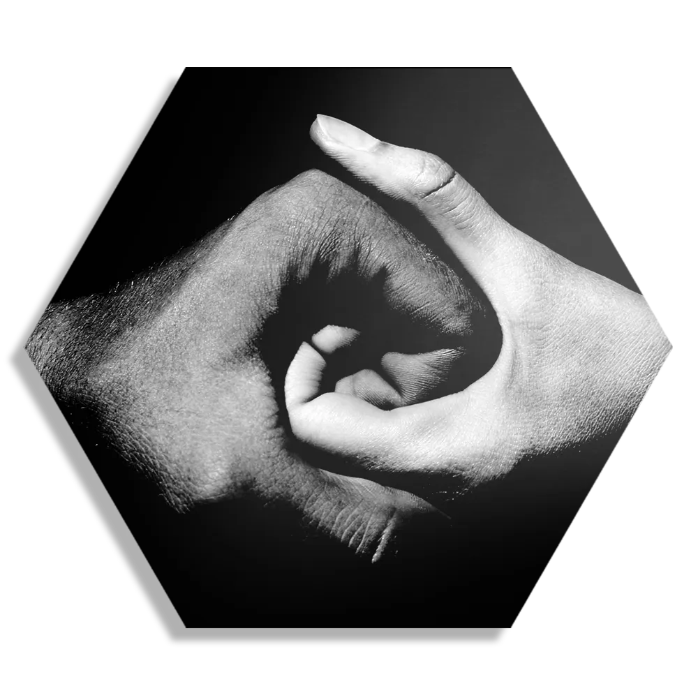 Template_Hexagon1_Beauty_3-1 Schilderij Het geheel Hexagon Template Hexagon1 Beauty 3 1