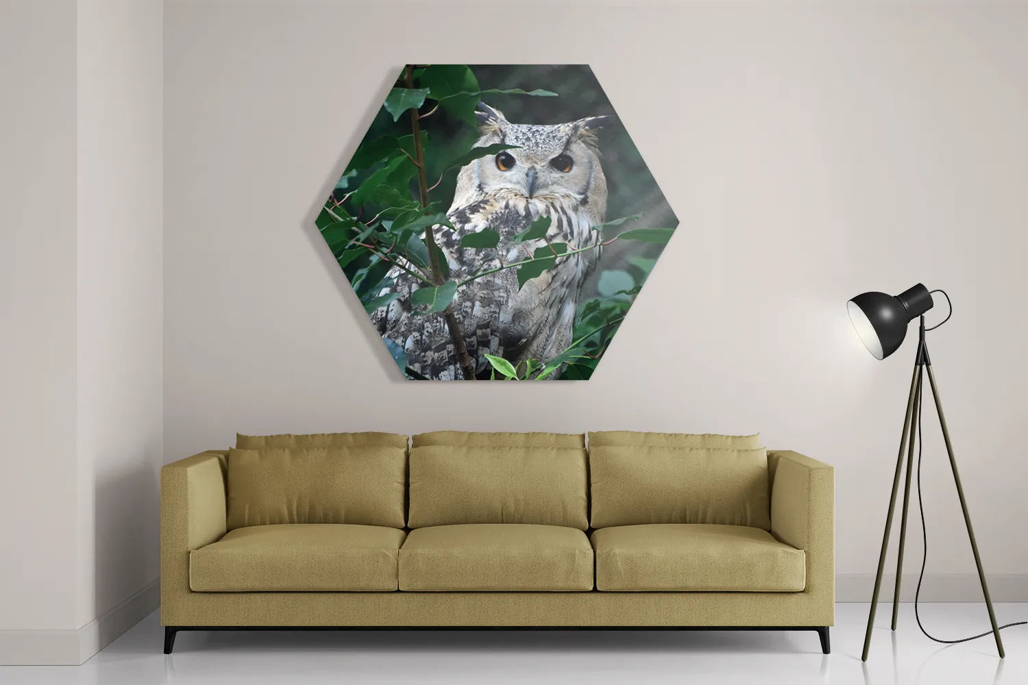 Schilderij Uil Op Tak Hexagon Template Hexagon1 Dieren 12 2