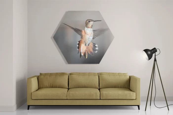 Schilderij De Vliegende Kolibrie Vogel Hexagon Template Hexagon1 Dieren 19 2
