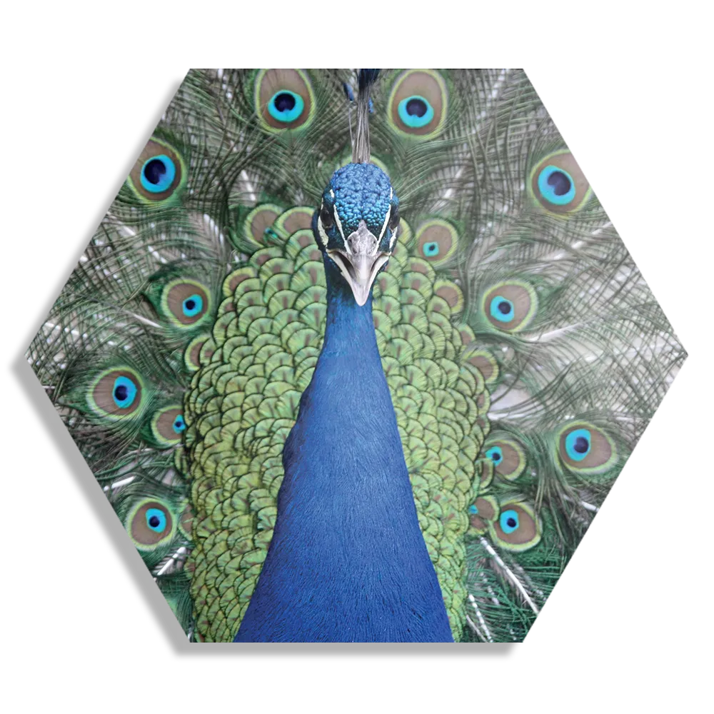 Schilderij Blauwe Pauw Met Groene Verem Hexagon Template Hexagon1 Dieren 20 1