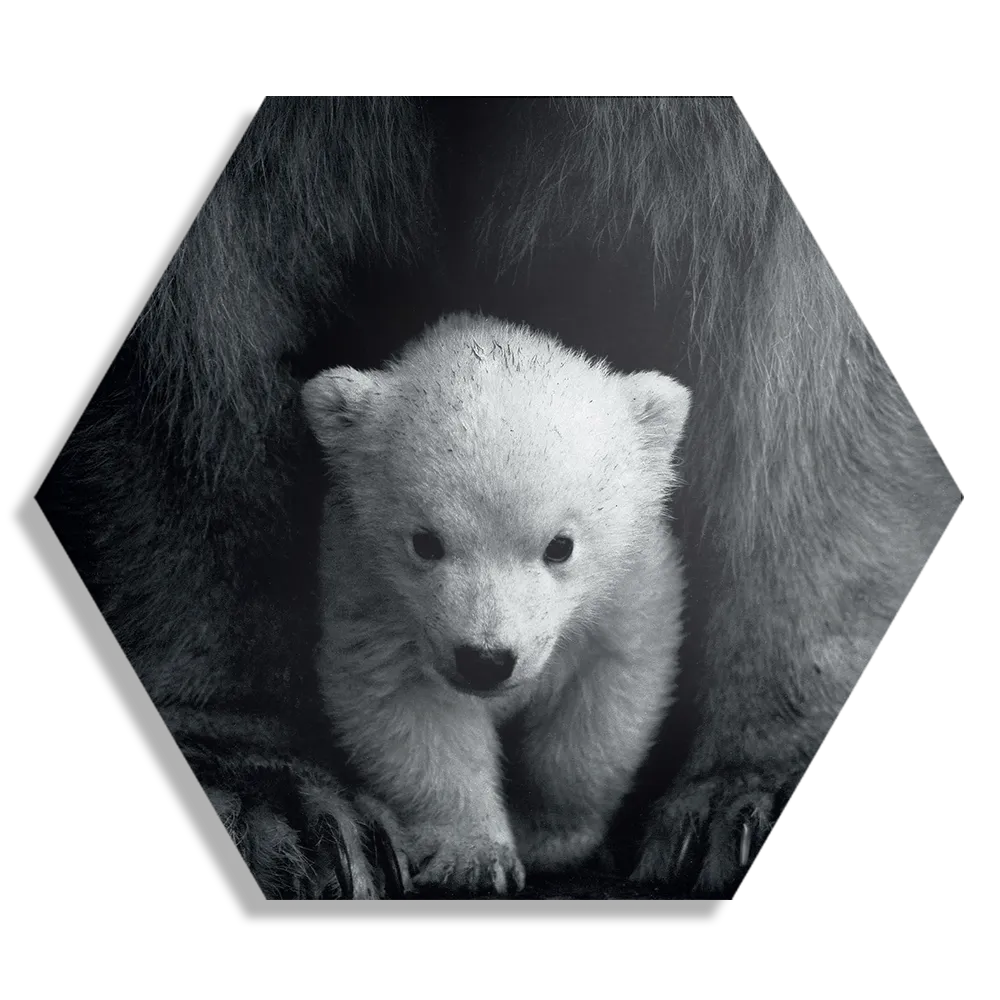 Schilderij Het Beschermde Welpje Hexagon Template Hexagon1 Dieren 22 1