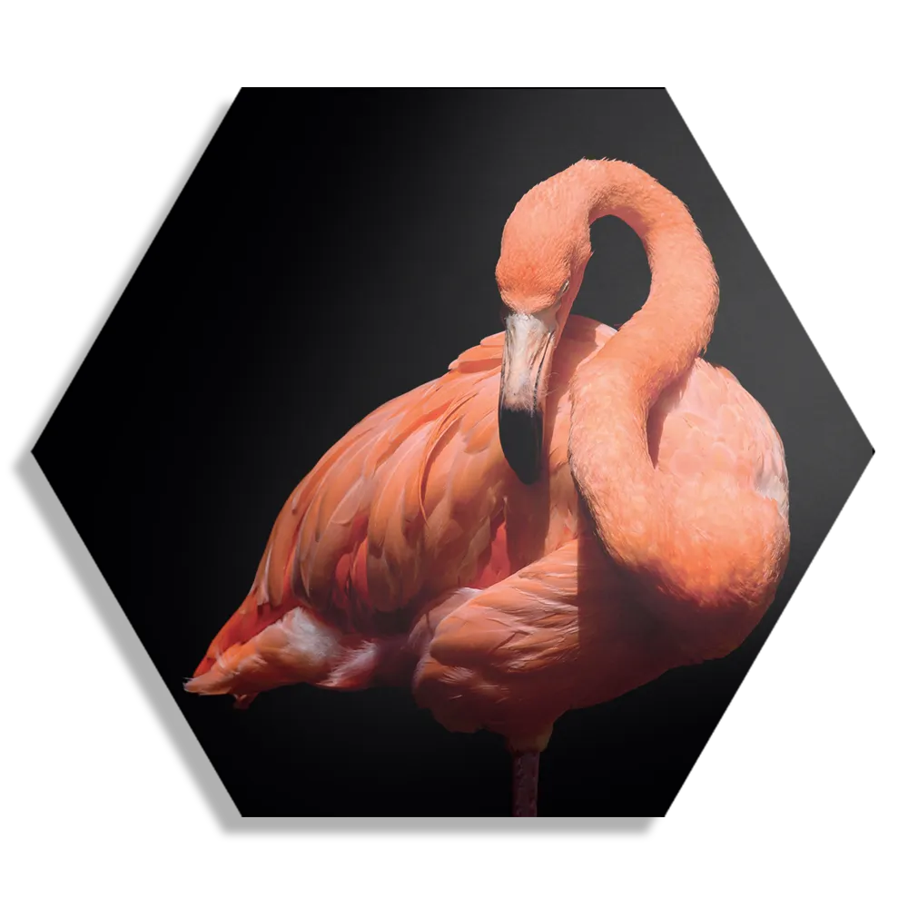 Schilderij Falmingo Contrast Hexagon Template Hexagon1 Dieren 33 1