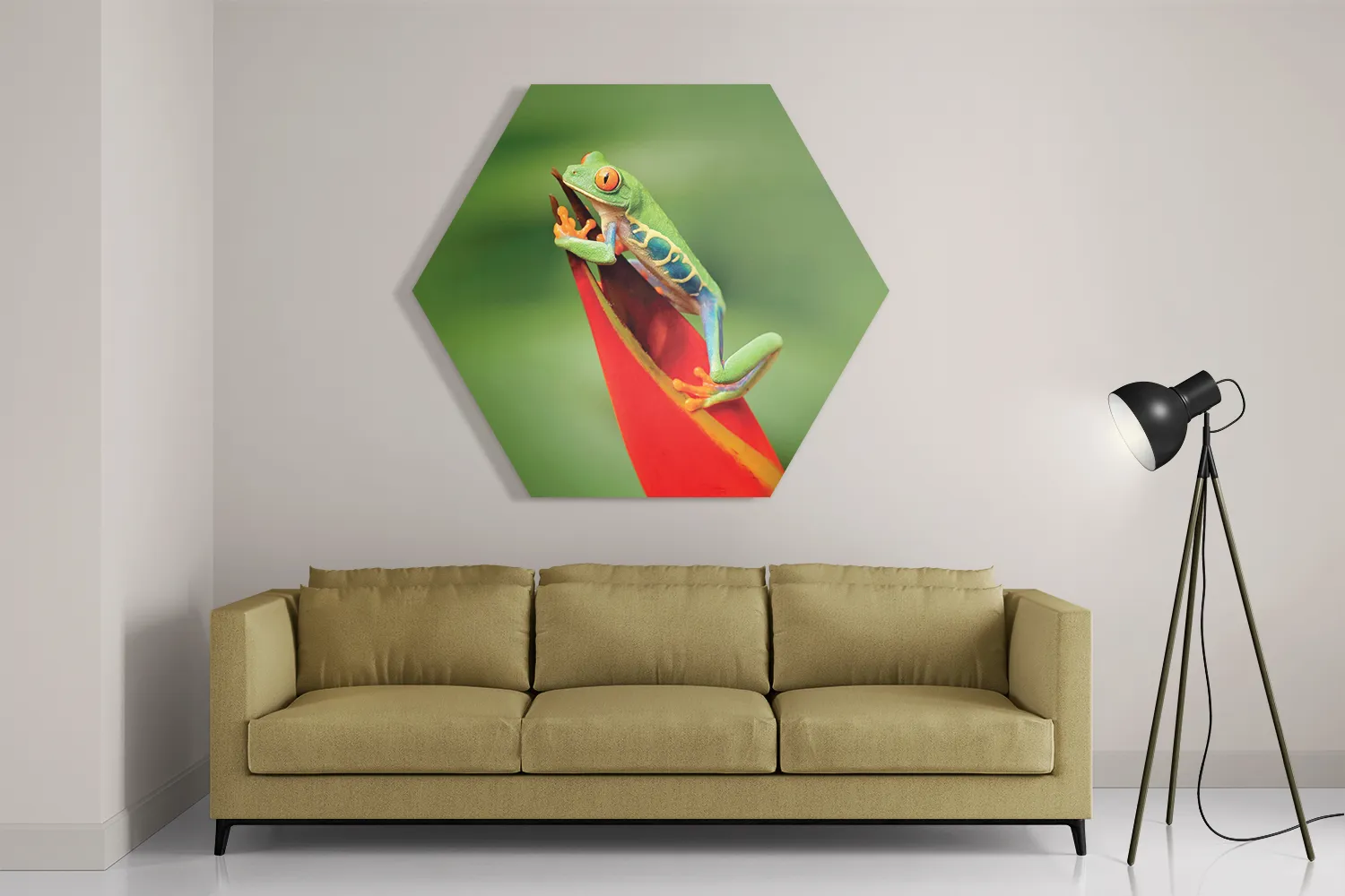 Schilderij Roodoog Boomkikker Hexagon Template Hexagon1 Dieren 35 2