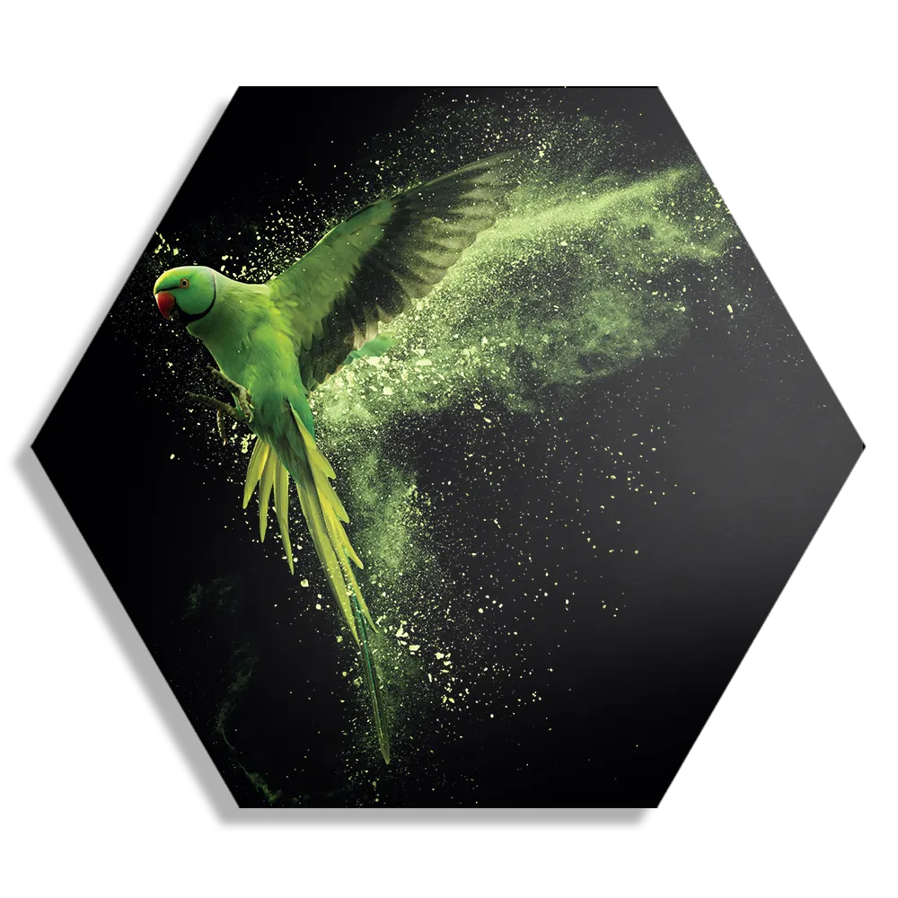 Schilderij De Groene Parkiet Hexagon Template Hexagon1 Dieren 38 1