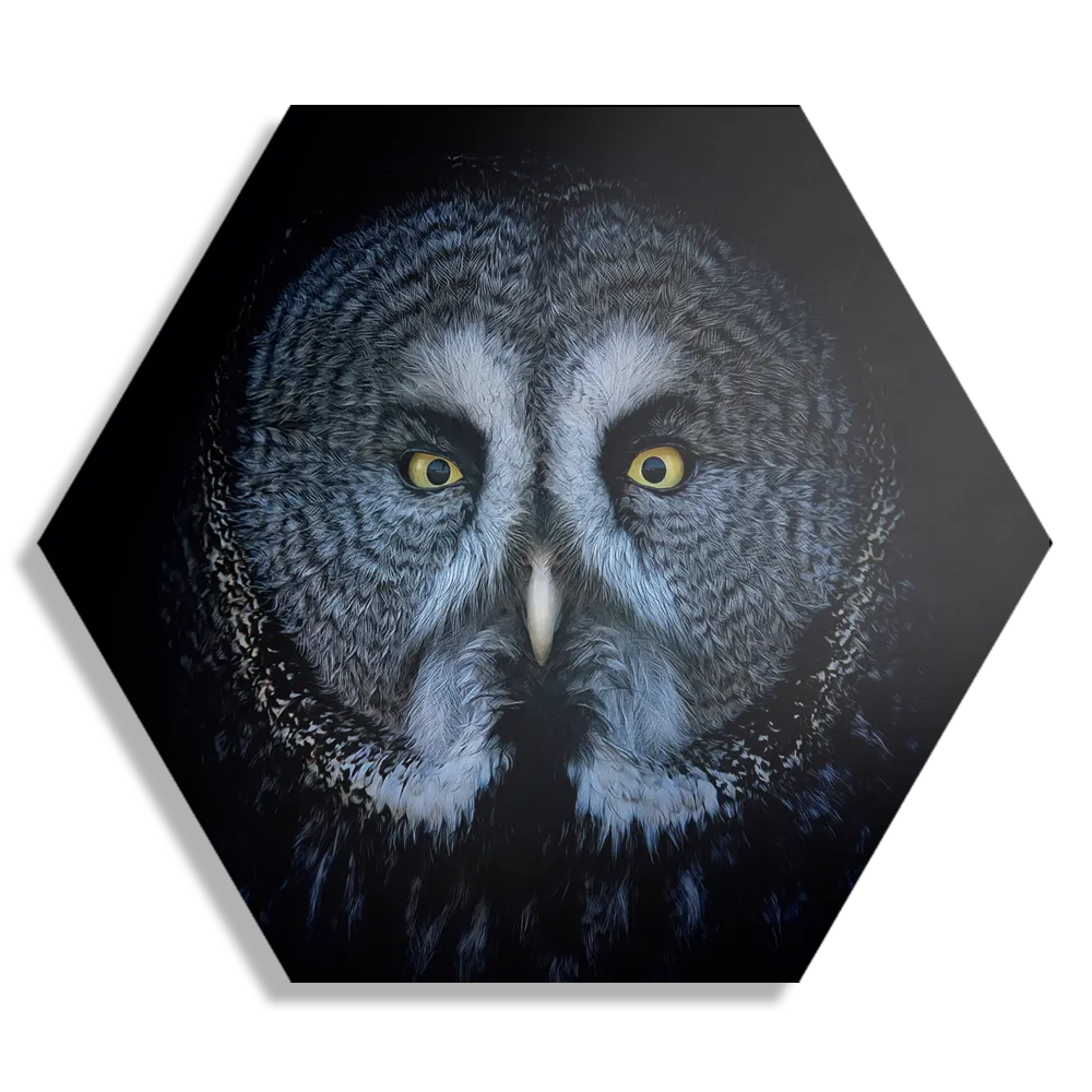 Template_Hexagon1_Dieren_49-1 Schilderij Uil Hoofd Close Up Hexagon Template Hexagon1 Dieren 49 1