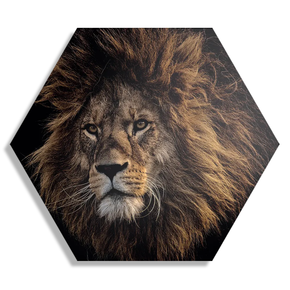 Template_Hexagon1_Dieren_5-1 Schilderij The Lion Hexagon Template Hexagon1 Dieren 5 1