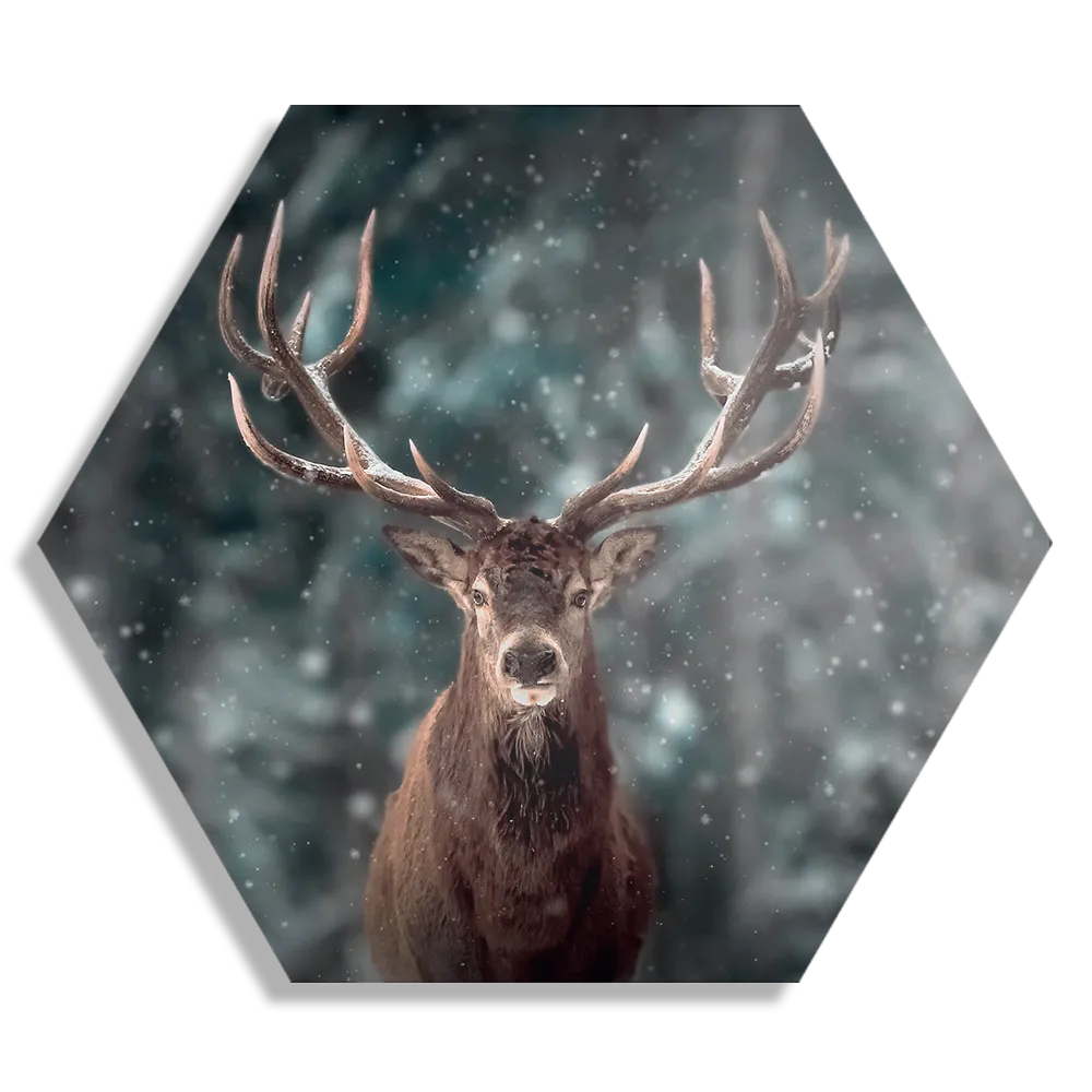 Schilderij Edelhert In De Sneeuw Hexagon Template Hexagon1 Dieren 52 1