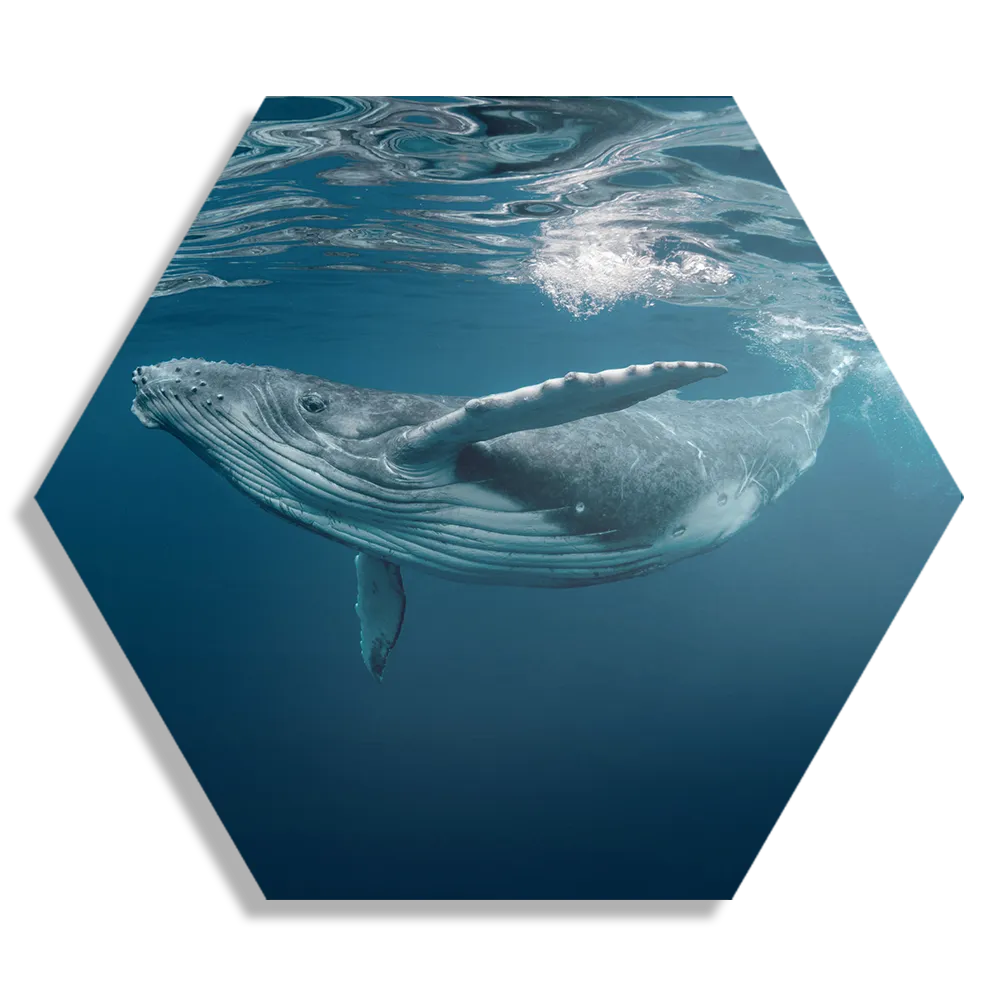 Template_Hexagon1_Dieren_60-1 Schilderij De Walvis Hexagon Template Hexagon1 Dieren 60 1