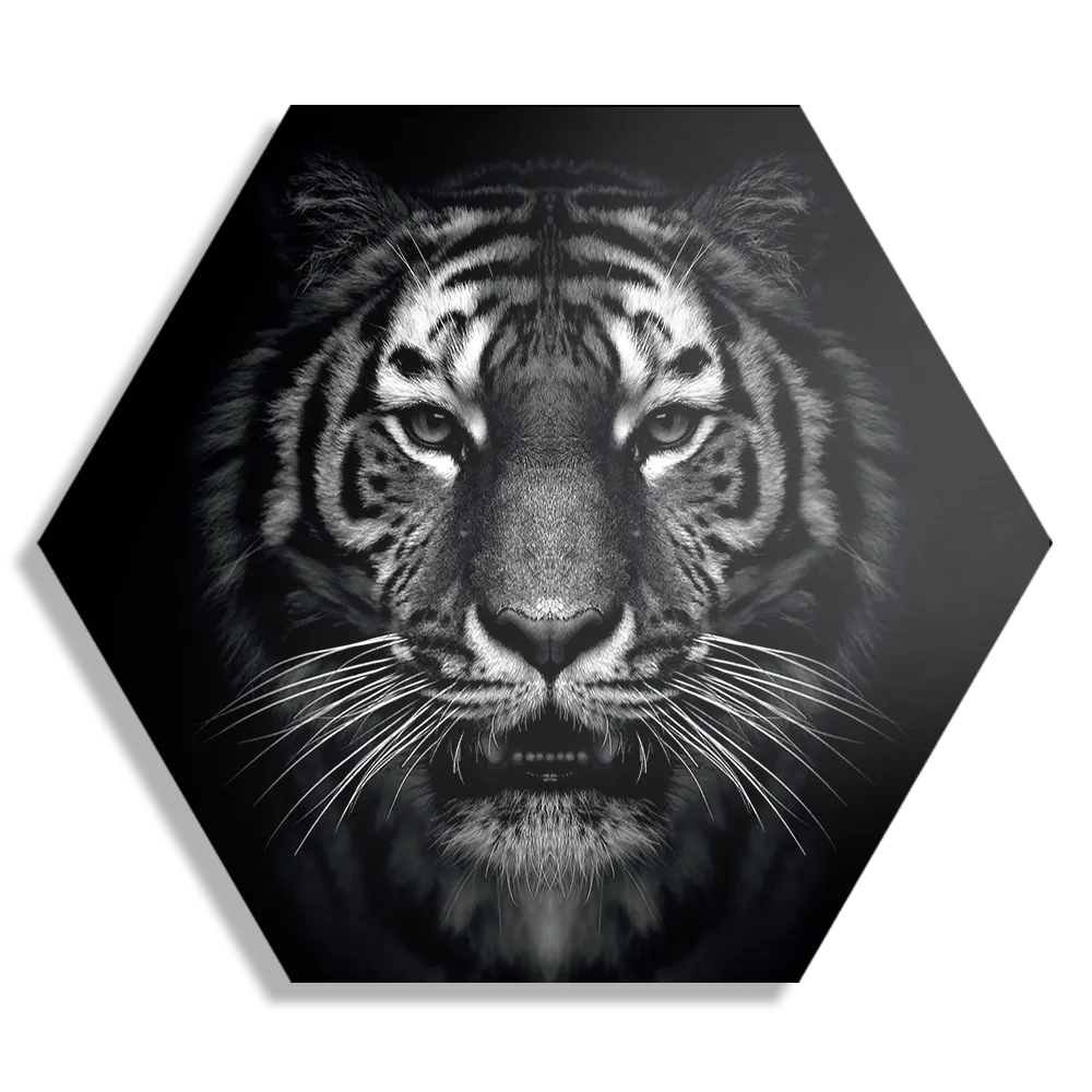 Schilderij De Tijger Zwart Wit Hexagon Template Hexagon1 Dieren 67 1