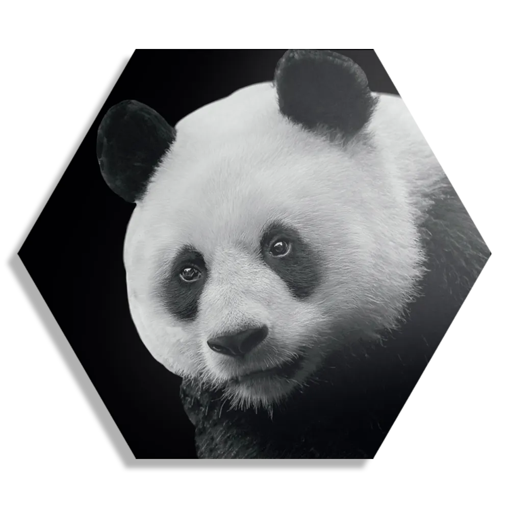 Template_Hexagon1_Dieren_74-1 Schilderij Pandabeer Zwart Wit 02 Hexagon Template Hexagon1 Dieren 74 1
