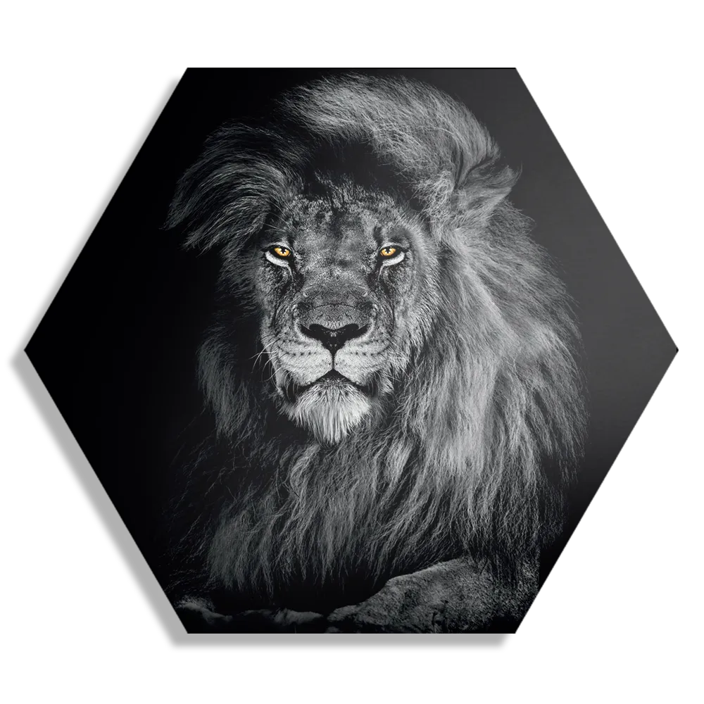 Schilderij De Zwart Witte Leeuw Hexagon Template Hexagon1 Dieren 75 1