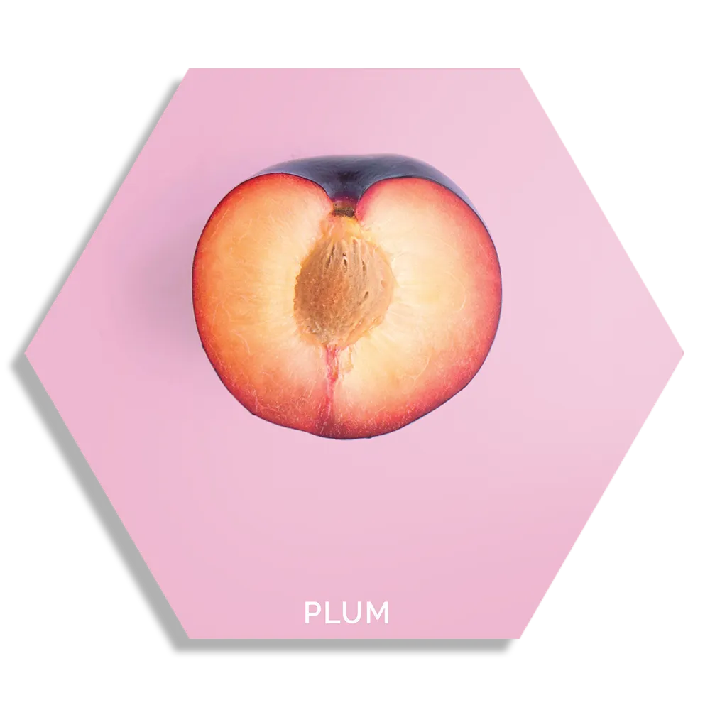 Template_Hexagon1_Eten-En-Drinken_10-1 Schilderij Plum Pruim Paars Hexagon Template Hexagon1 Eten En Drinken 10 1