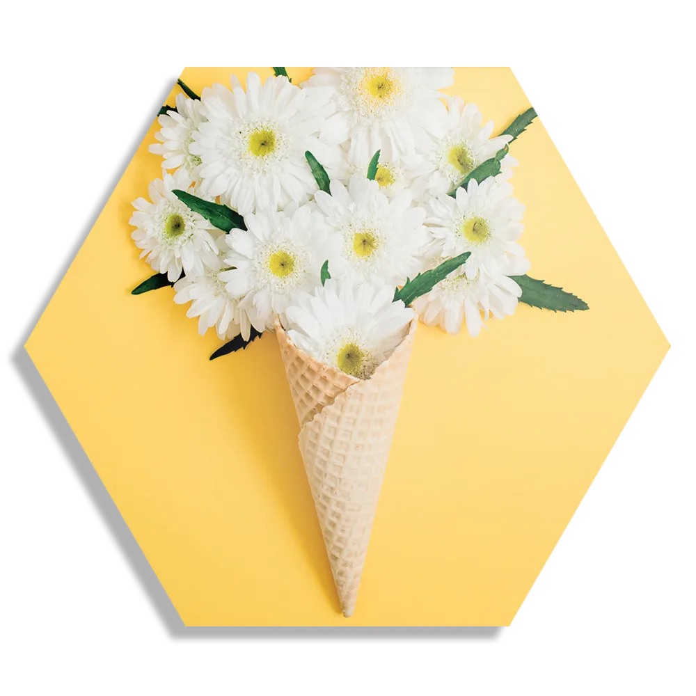 Template_Hexagon1_Eten-En-Drinken_15-1 Schilderij Ijshoorn met Bloemen Hexagon Template Hexagon1 Eten En Drinken 15 1