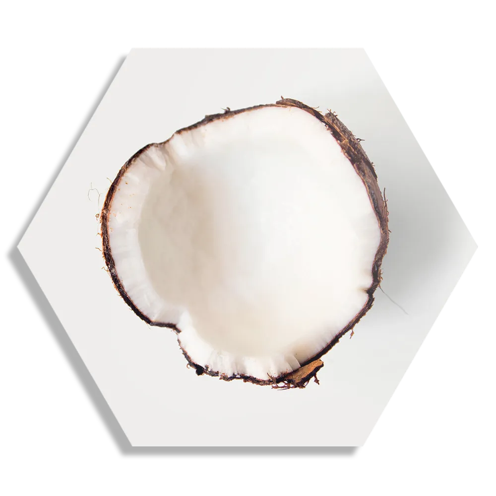 Schilderij Coconut Hexagon Template Hexagon1 Eten En Drinken 3 1