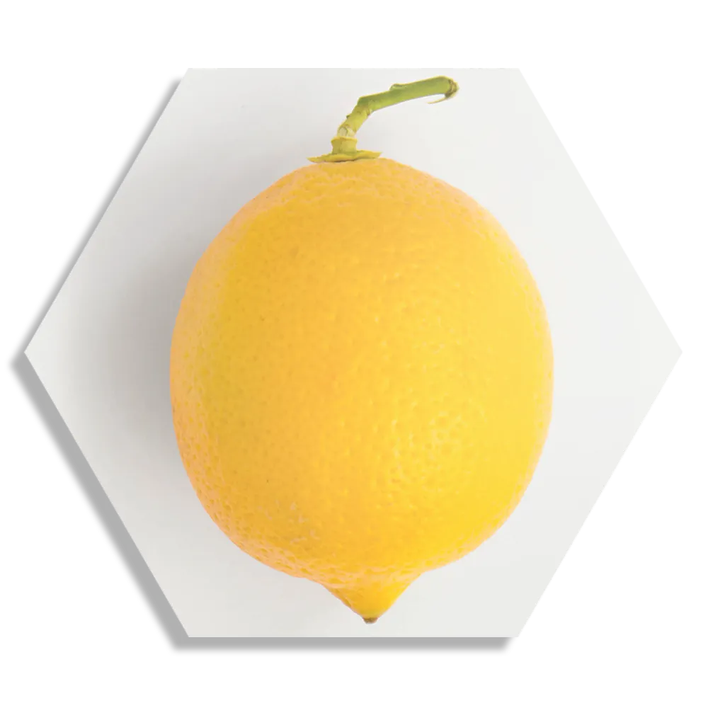 Template_Hexagon1_Eten-En-Drinken_7-1 Schilderij Lemon Citroen Hexagon Template Hexagon1 Eten En Drinken 7 1