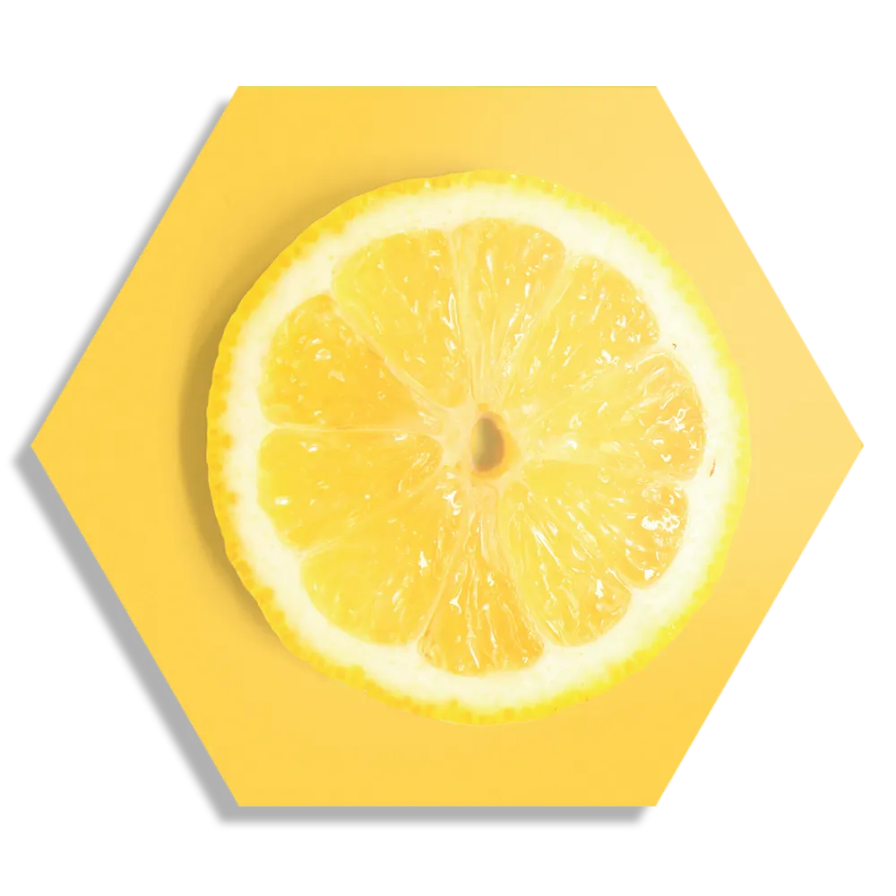 Template_Hexagon1_Eten-En-Drinken_8-1 Schilderij Citroenschijfje Hexagon Template Hexagon1 Eten En Drinken 8 1
