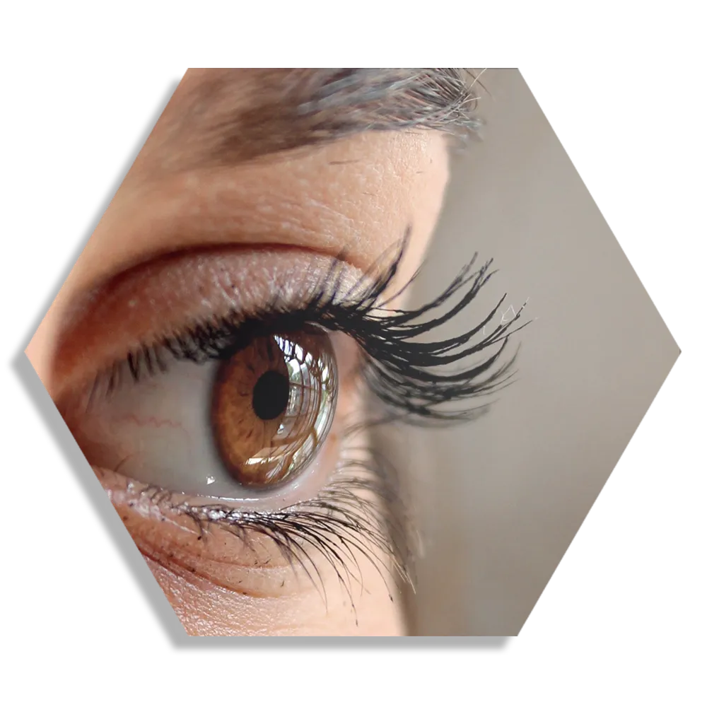 Schilderij Het Bruine Oog Hexagon Template Hexagon1 Mensen 19 1