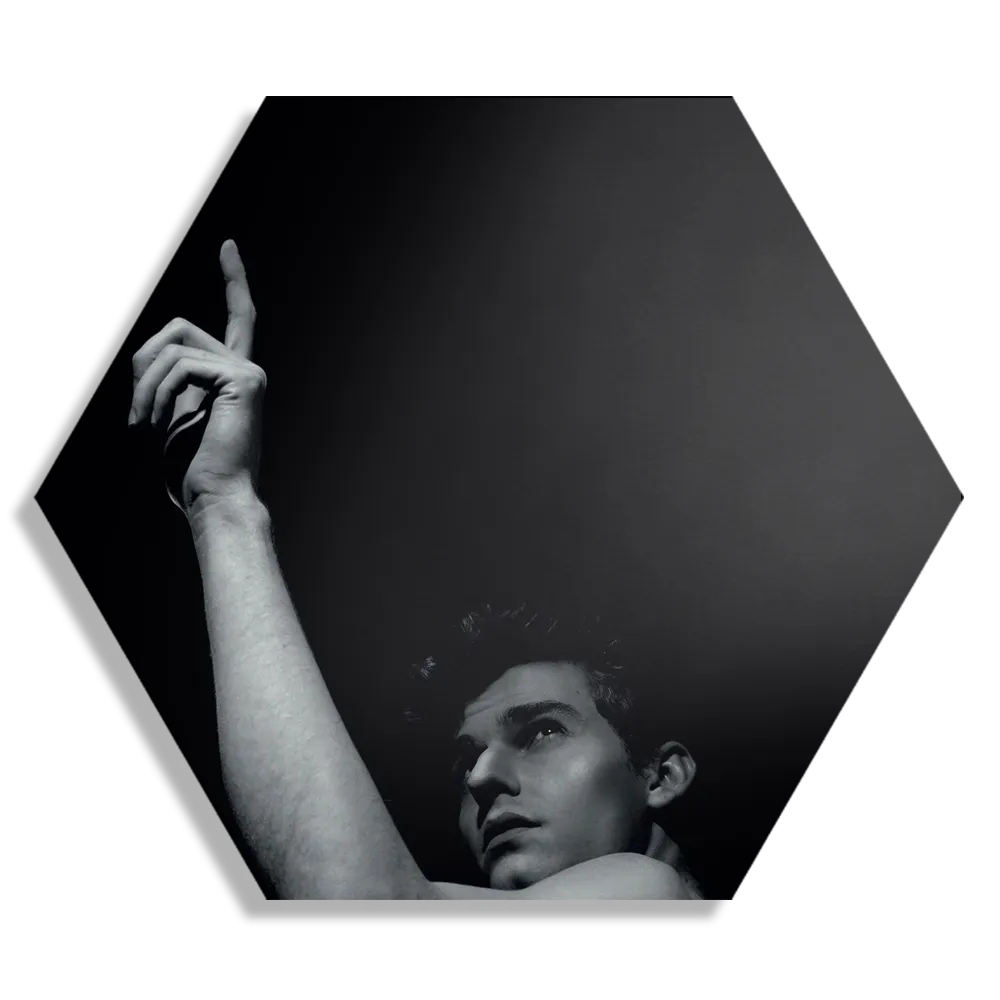 Schilderij Mooie Jonge Man Met Ontbloot Bovenlichaam Hexagon Template Hexagon1 Mensen 28 1