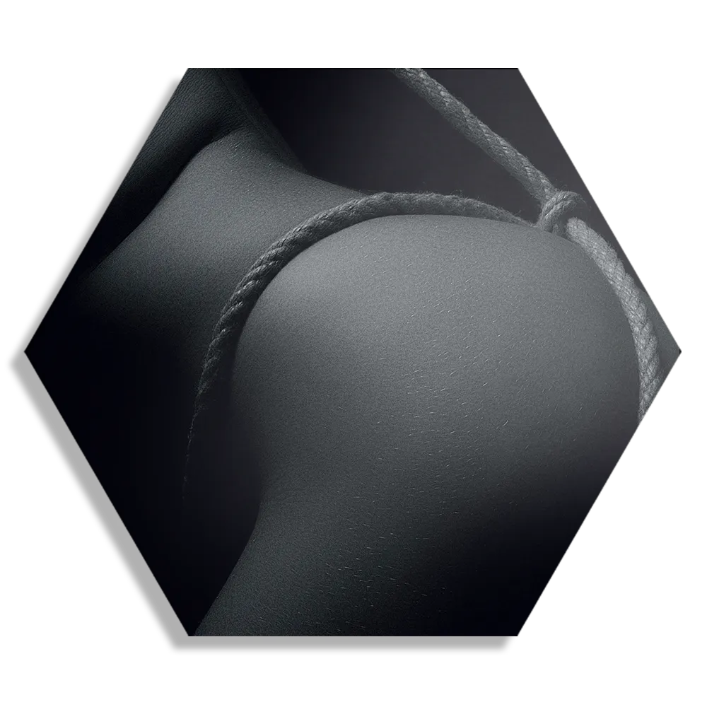 Schilderij Vrouw Met Sexy Touw Hexagon Template Hexagon1 Mensen 3 1